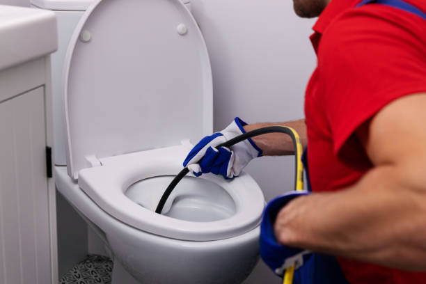 Best Commercial Plumbing Services  in Livonia, MI